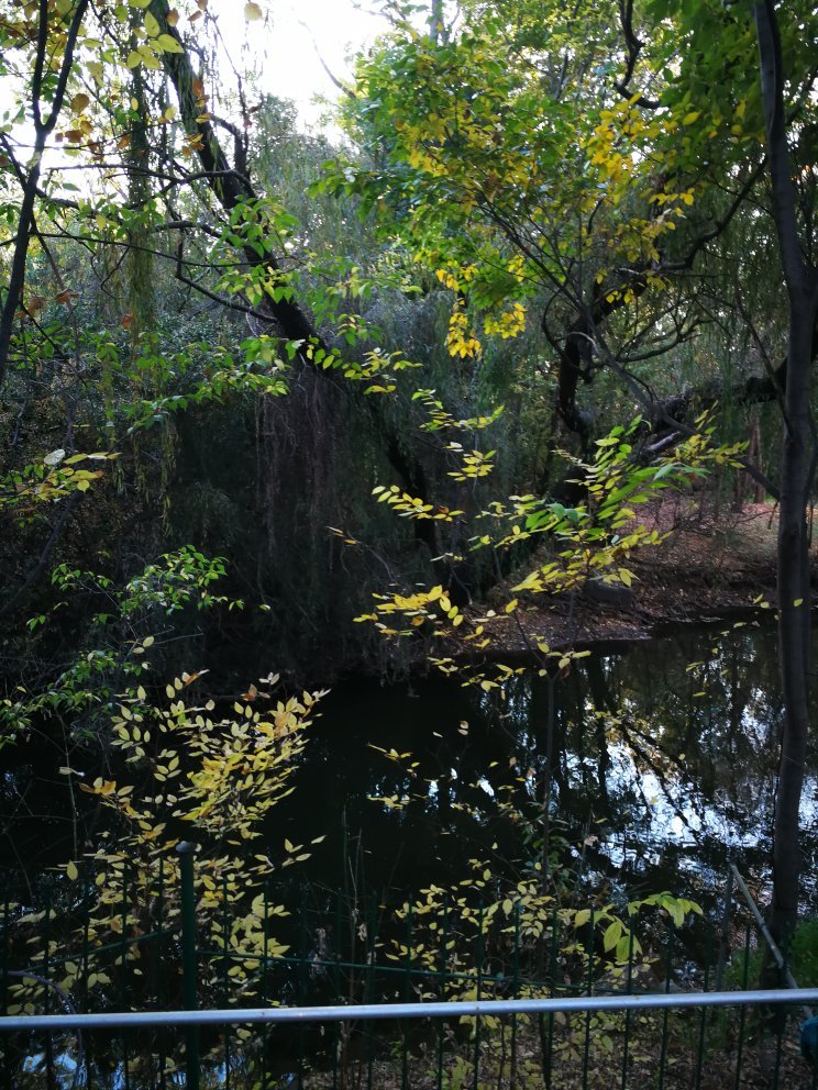 On Golden Pond Guesthouse-官方