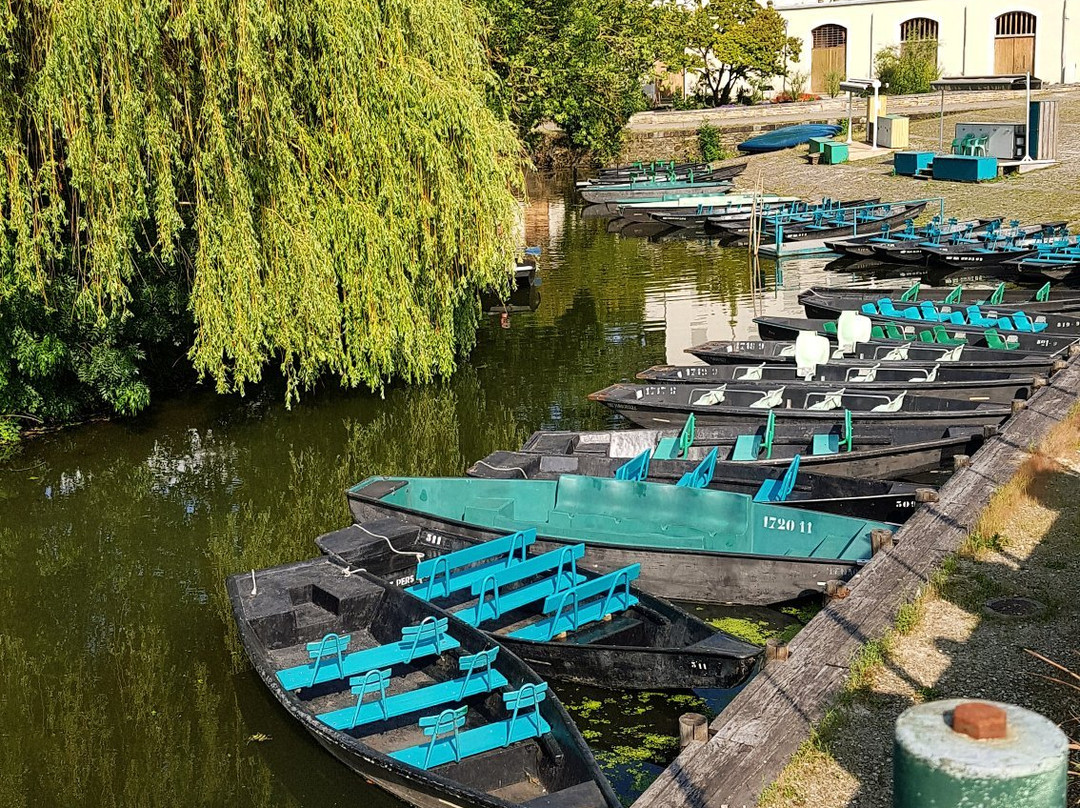 Chambres d'Hotes Le Tilleul主图