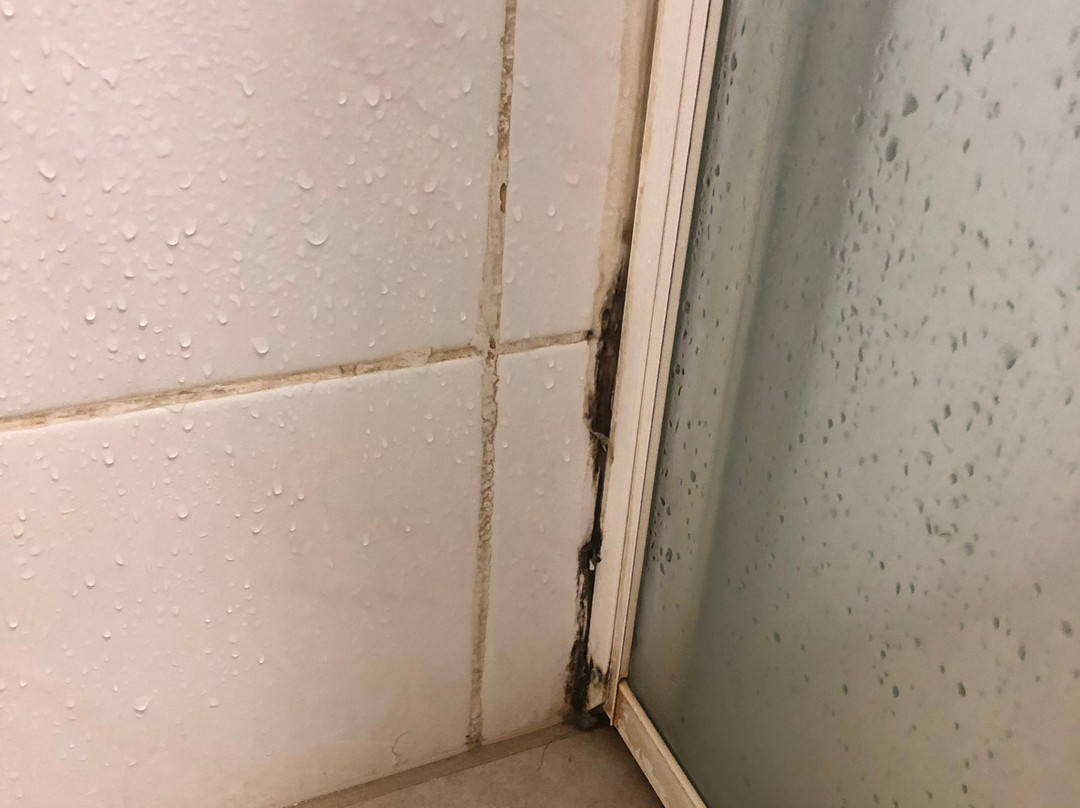 Cootamundra Gardens Motel主图