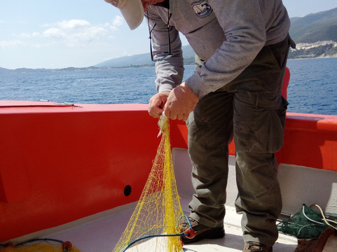 Zante Fishing Tours-扎金索斯镇必去景点