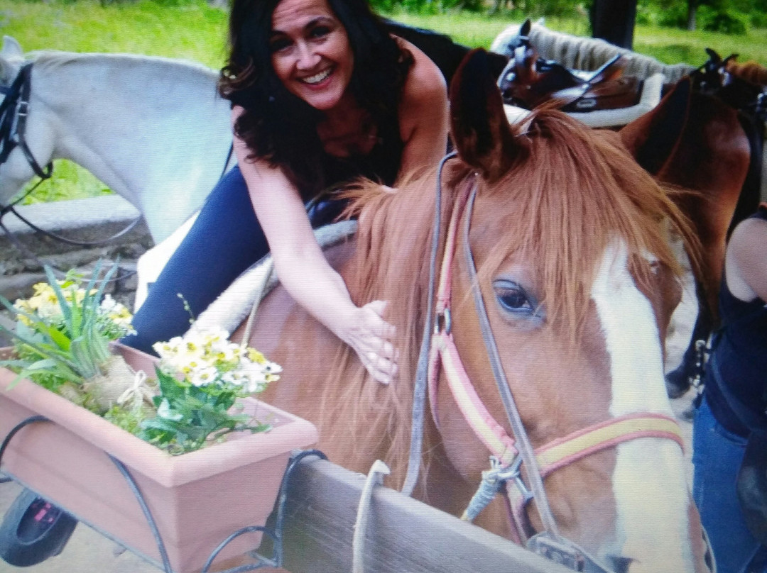 Caballos casa blas-Sarvise必去景点