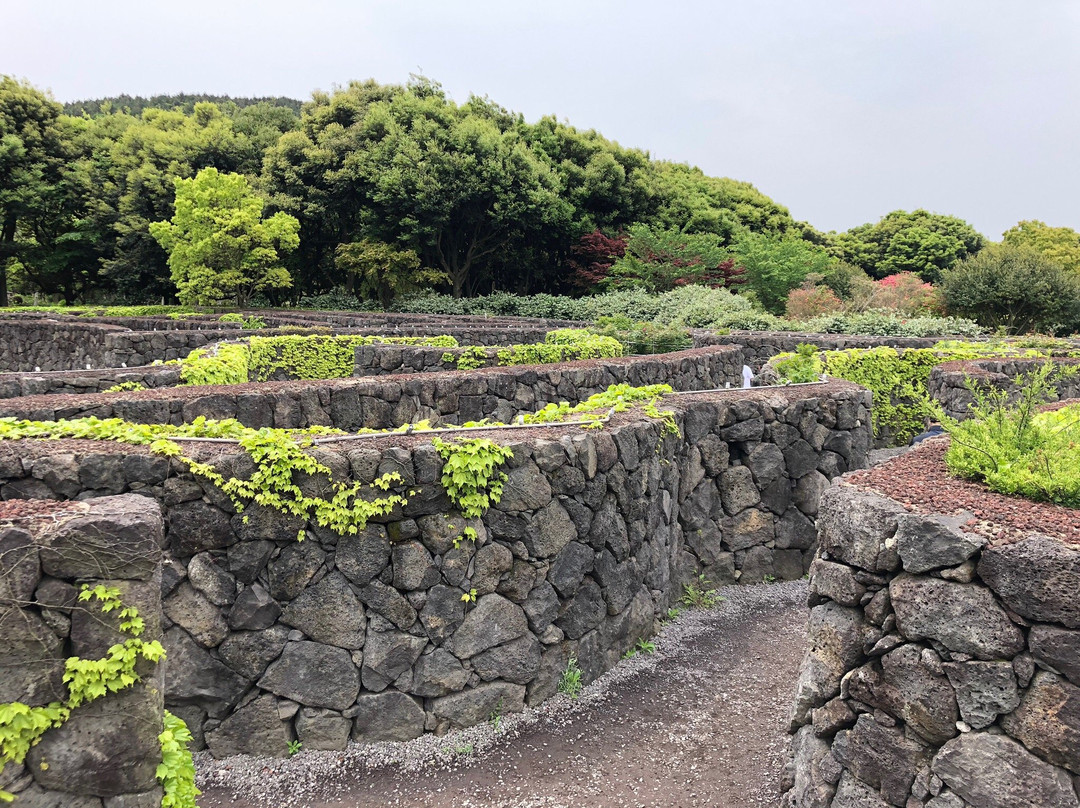 迷宫主题公园-济州必去景点