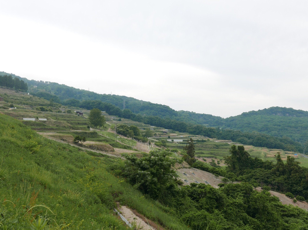 Teshima Terraced Rice Field Project景点图片