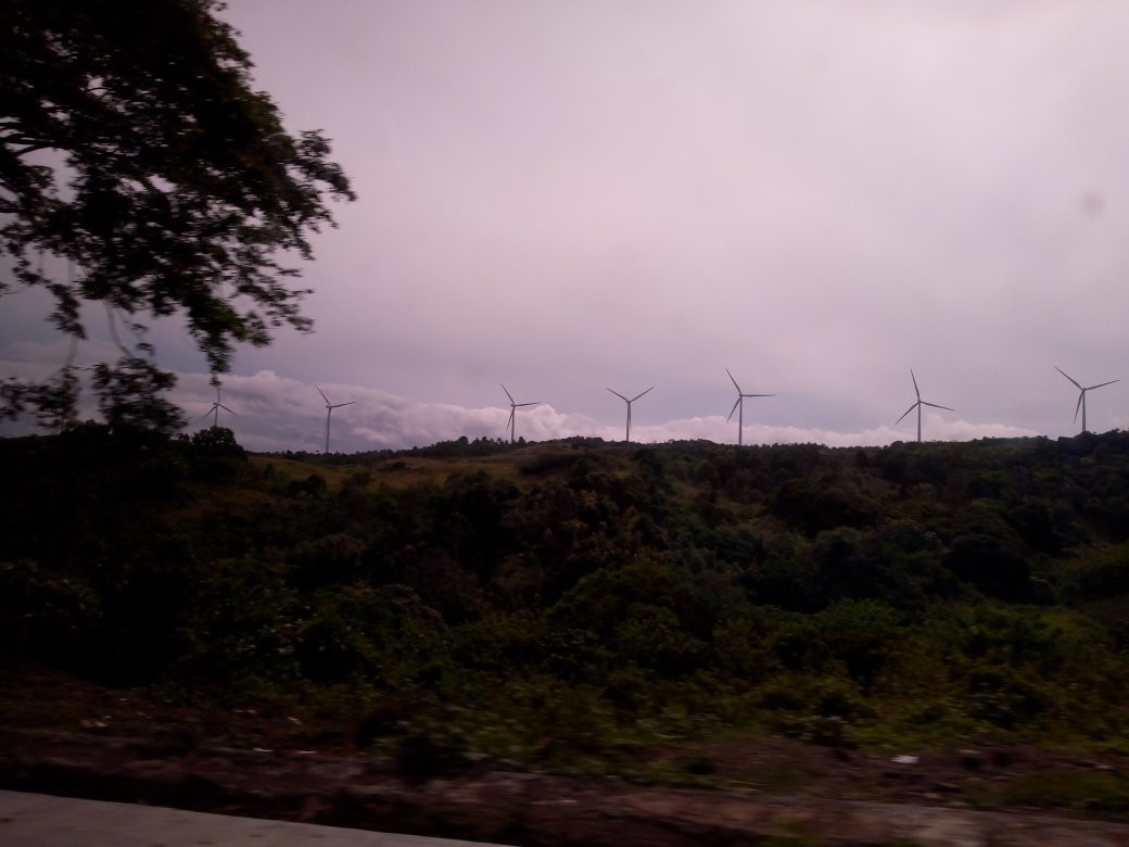 Windmill Farm景点图片