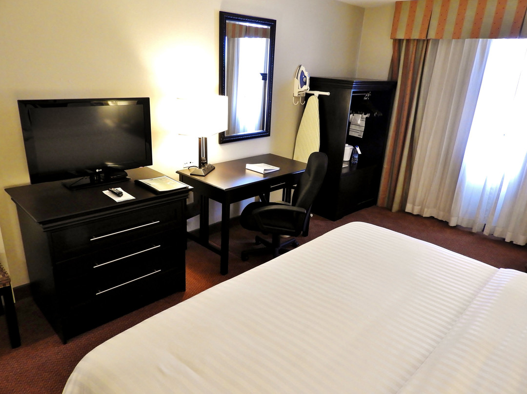 Reynosa酒店住宿-Holiday Inn Reynosa Zona Dorada By IHG