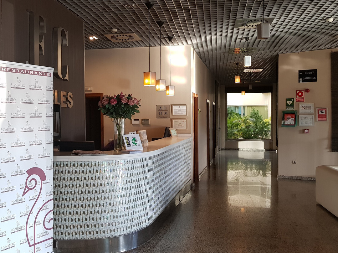 Hotel FC Villalba主图