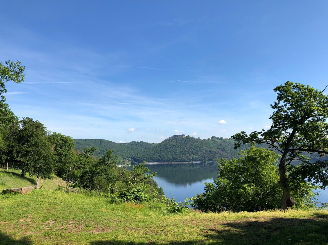 Wildtierpark Edersee-Edertal必去景点