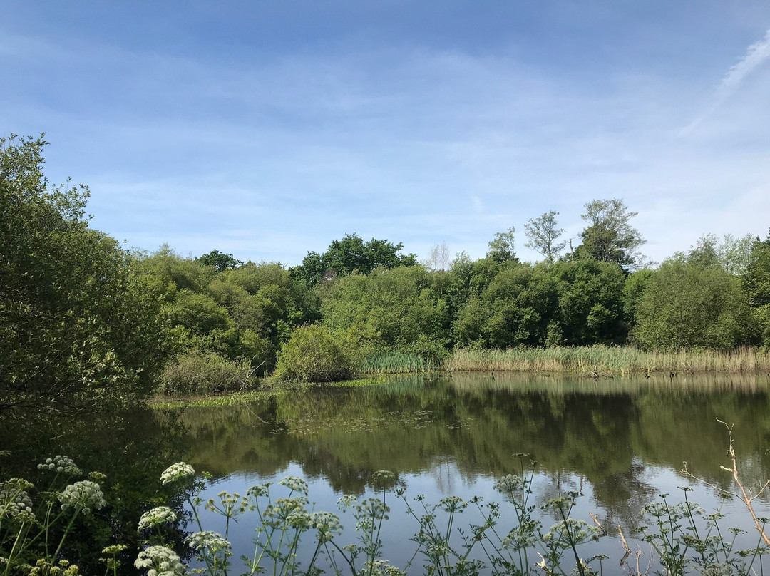 Blashford Lakes景点图片