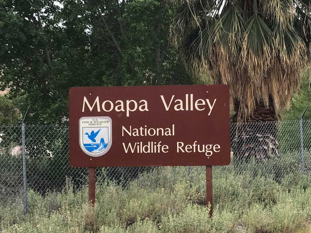 Moapa Valley National Wildlife Refuge景点图片
