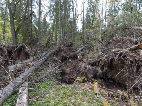 Riddersholms Naturreservat-Gräddö必去景点
