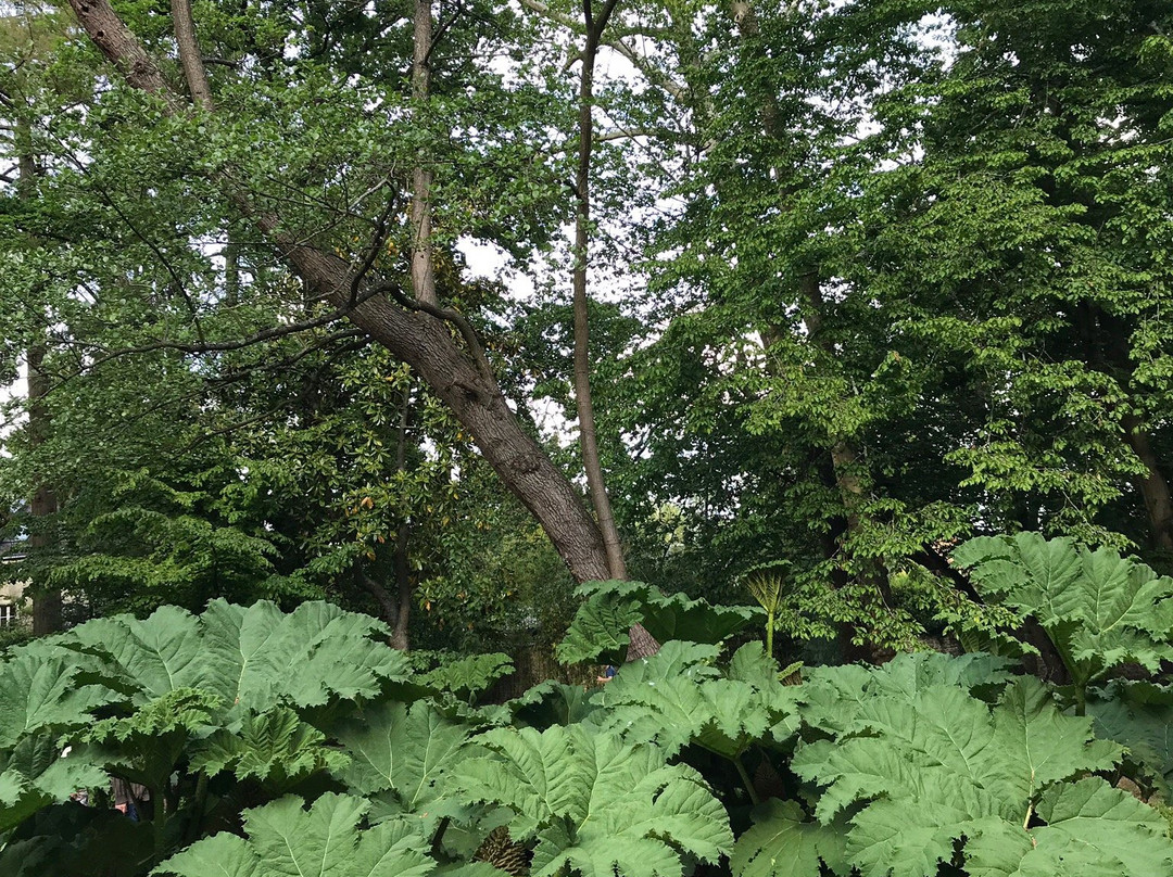 Jardin des Plantes景点图片