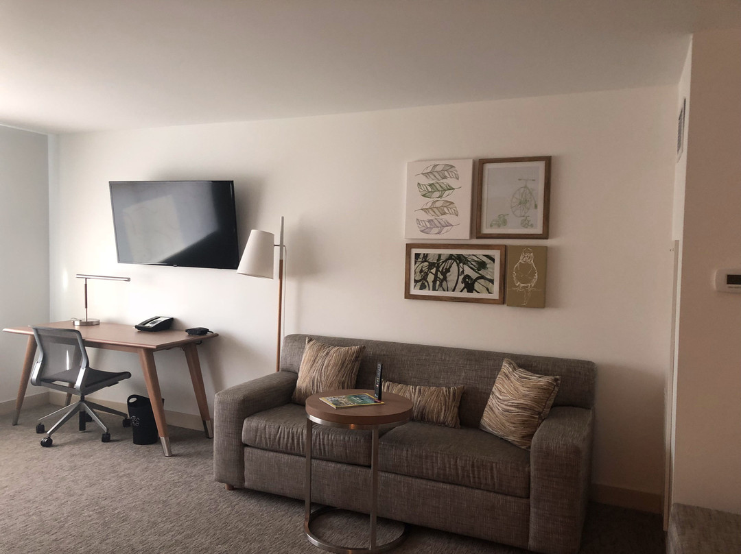 Element Moline主图