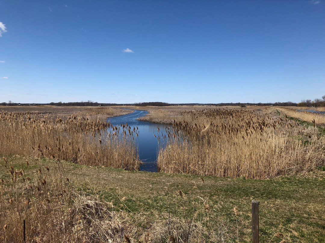 Big Creek National Wildlife Area景点图片