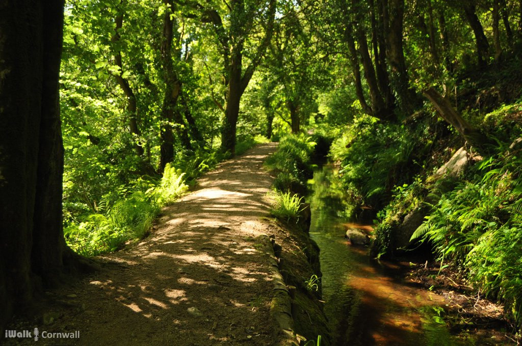 Luxulyan Valley to Prideaux Circular Walk-St Blazey必去景点