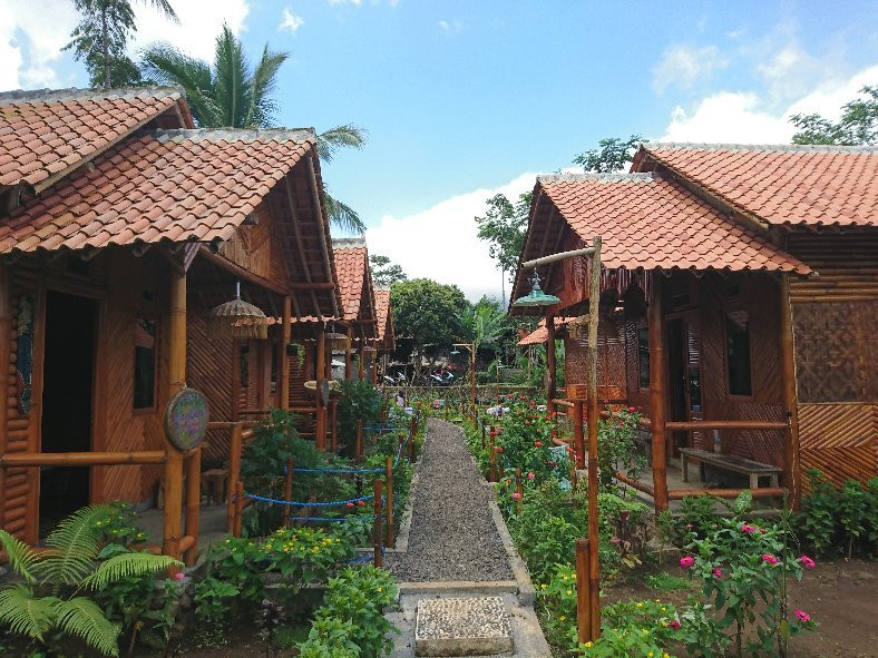Dear Traveller Guest House and Glamping