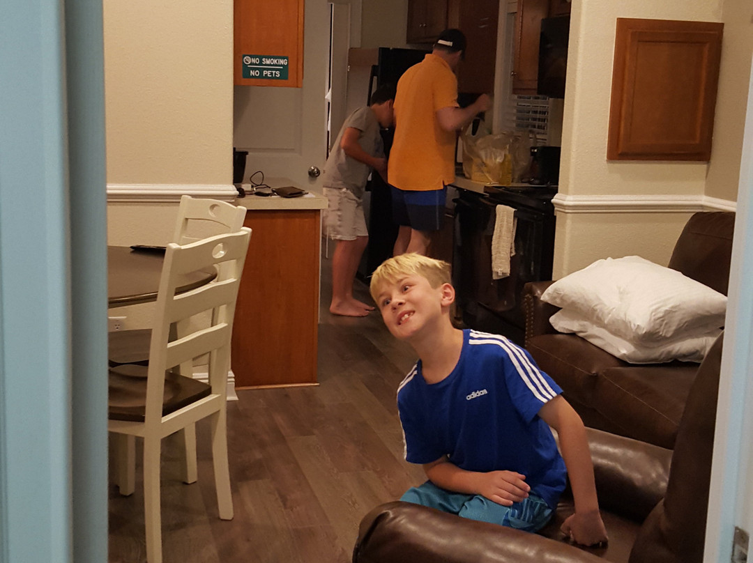 Encore Tropical Palms主图