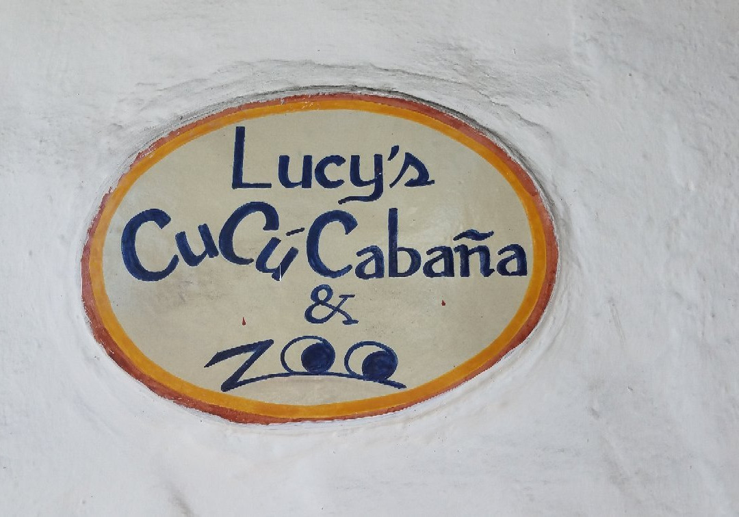 Lucy's CuCu Cabana景点图片