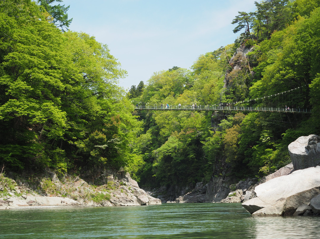 Tenryu Rhein Boat Tour-饭田市必去景点