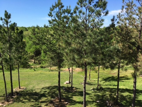 Echo Canyon Spa度假村（限成人）主图