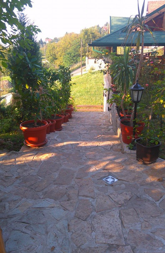 Fruskogorska Terasa主图