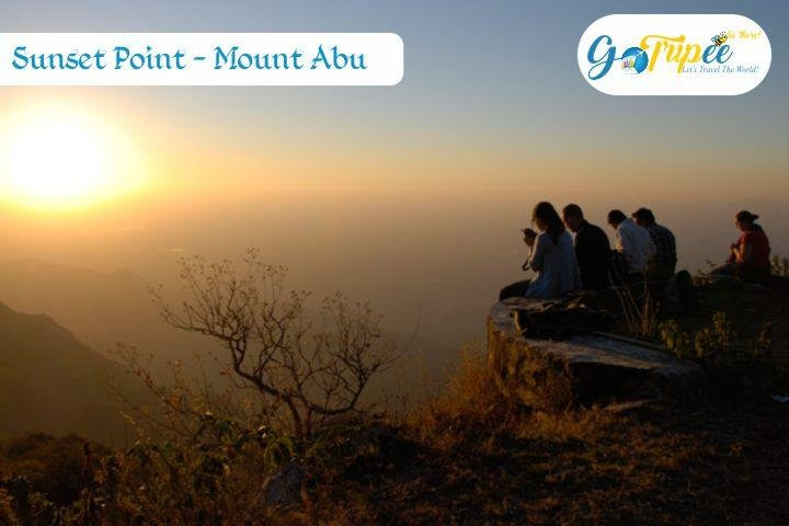 Gotripee Tours - India Private Day Tours景点图片