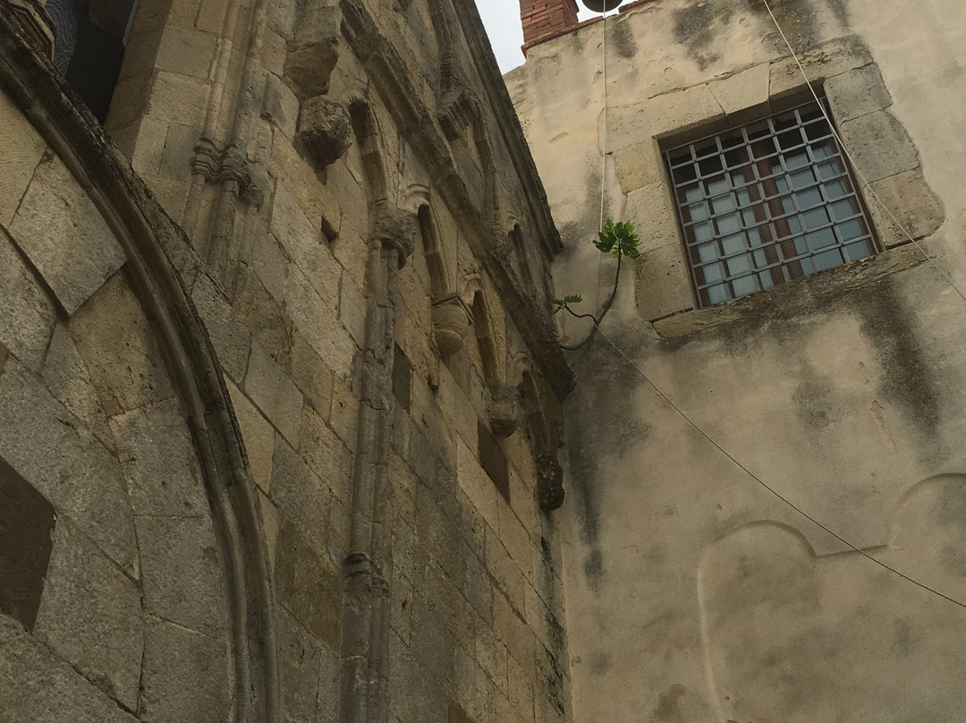 Chiesa del Carmine-Mogoro必去景点