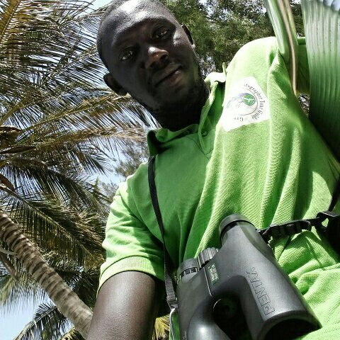 Gambian Bird Guide Ansuman Drammeh -  Best Boy Tours景点图片