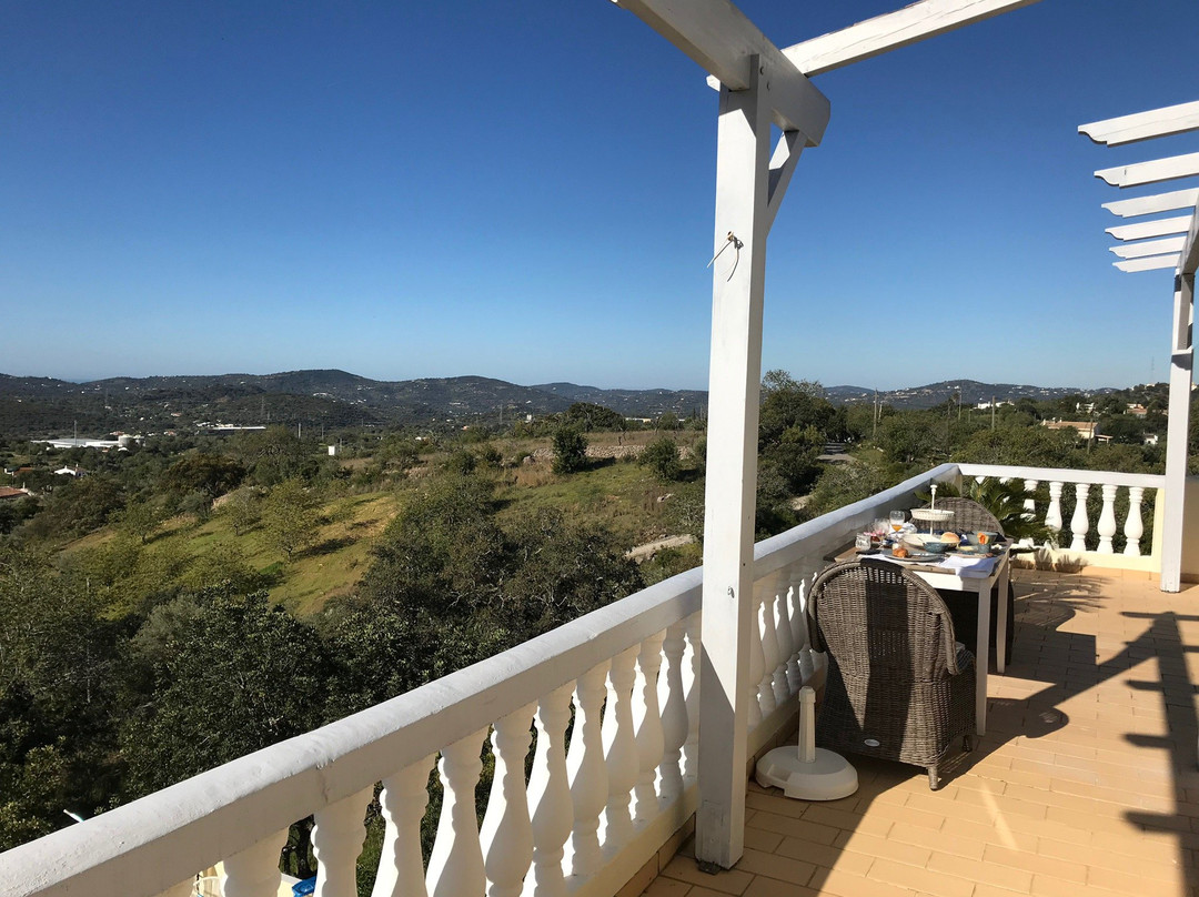 Panoramic Paradise主图