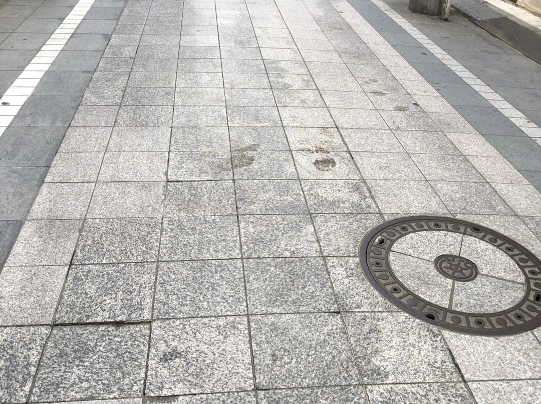 Yakushi Ai Road Shopping Street-中野区必去景点