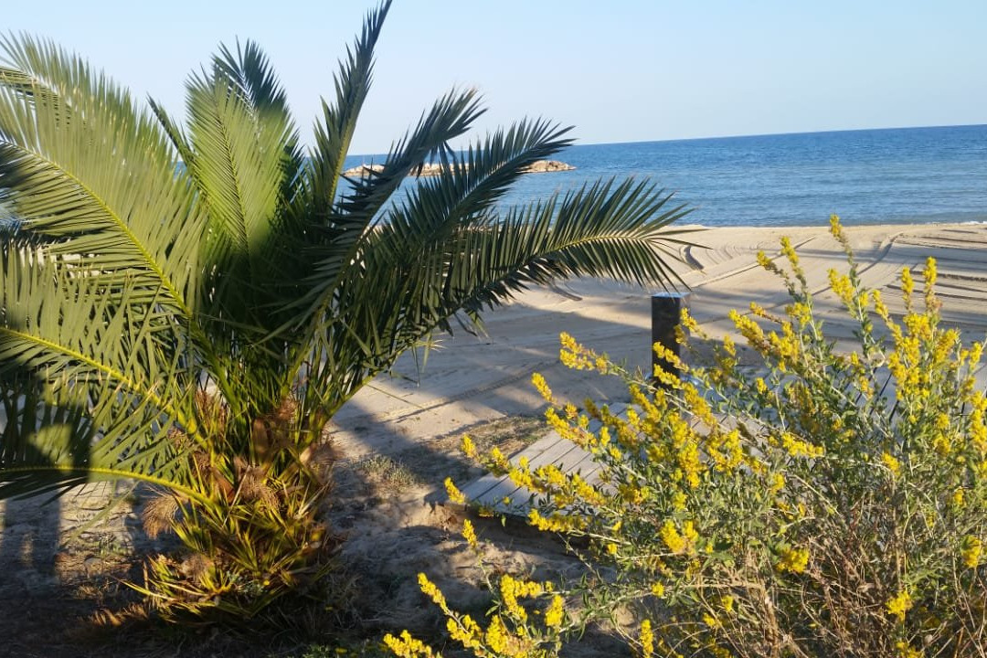 Platja de la Llosa景点图片