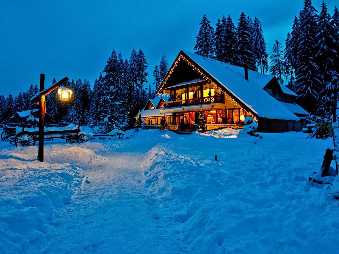 Inima Bucovinei主图