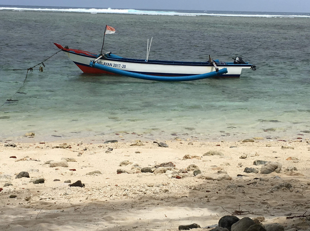 Tikus Island景点图片