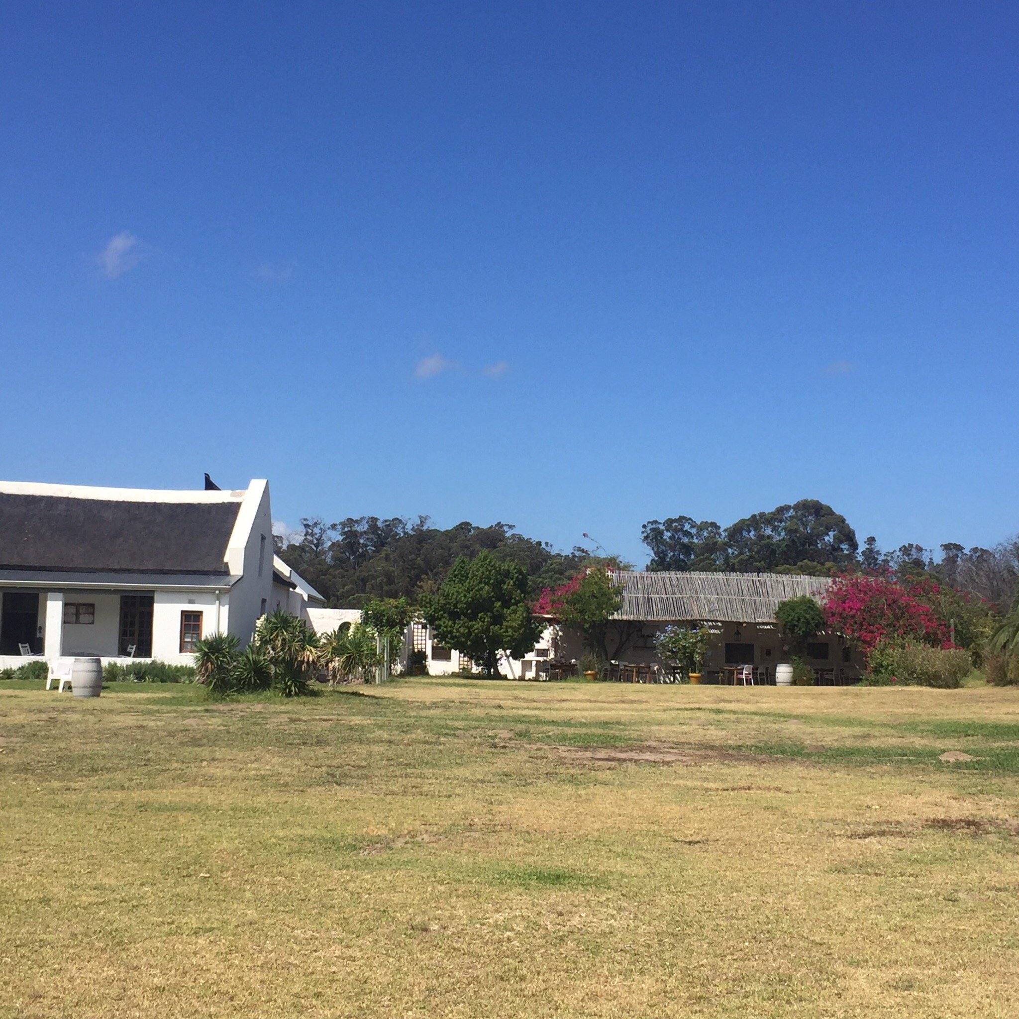 Springfontein Wine Estate-官方