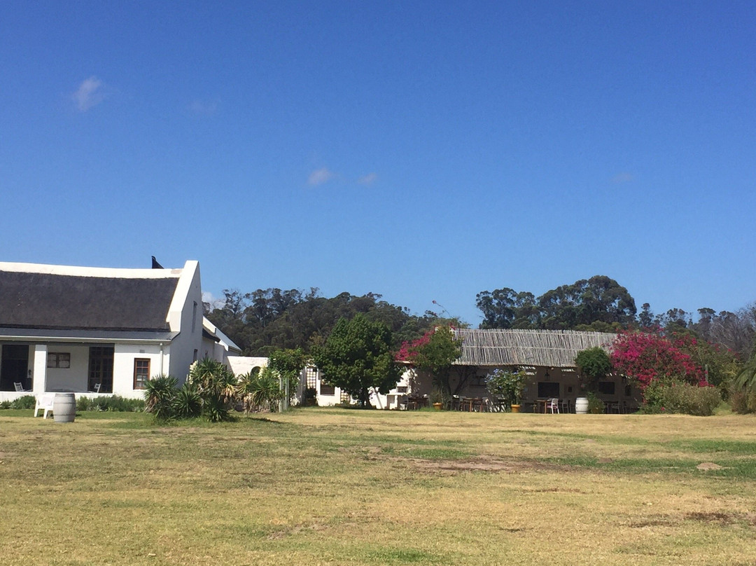 Springfontein Wine Estate主图