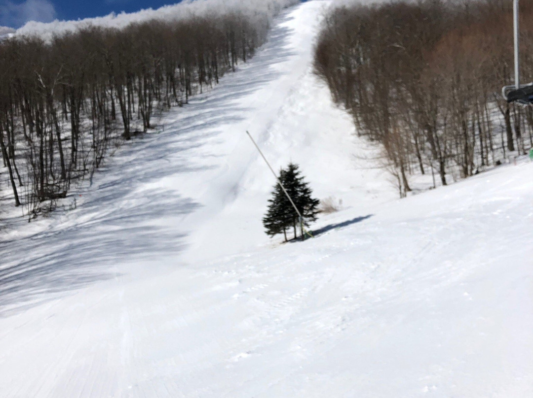 Plattekill Mountain-Roxbury必去景点