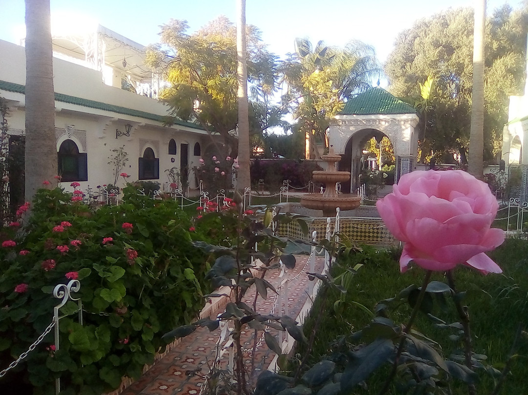 Riad Hotel l'Arganier d'Or主图