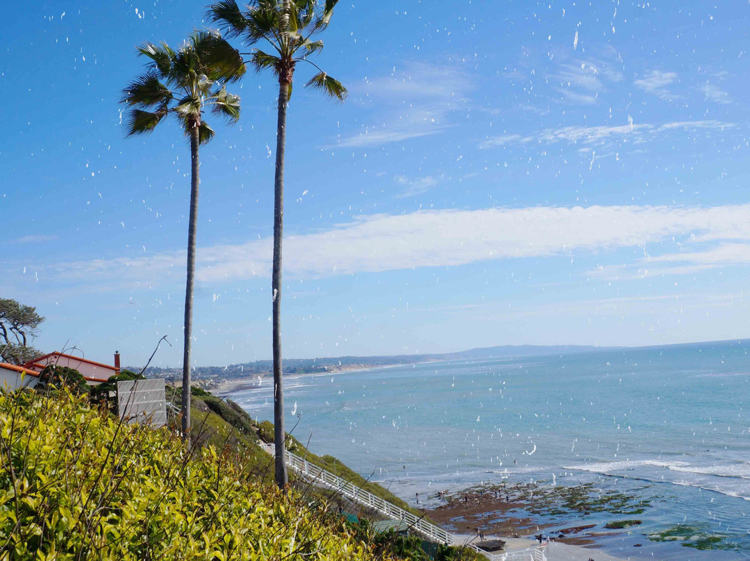 Self Realization Fellowship Hermitage & Meditation Gardens-恩西尼塔斯必去景点