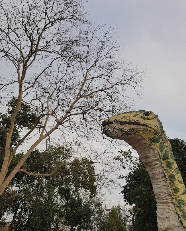 Lahore Zoo Safari景点图片