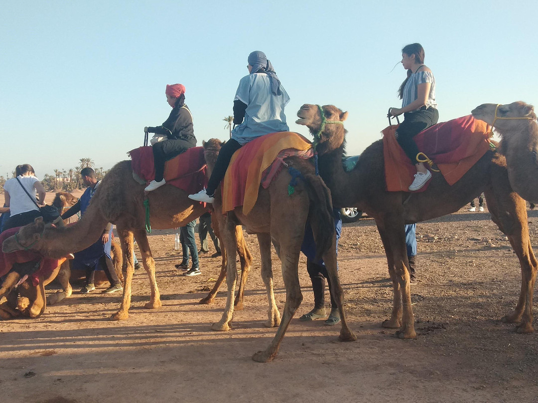 imskre tours-马拉喀什必去景点