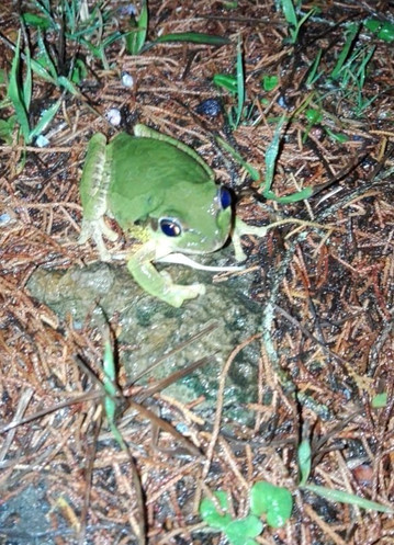 Posada Rural Finca Chacula主图