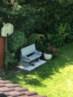 Avonpark House-portrait