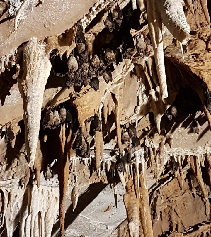Grotta Torri di Slivia - Tour-Duino Aurisina必去景点