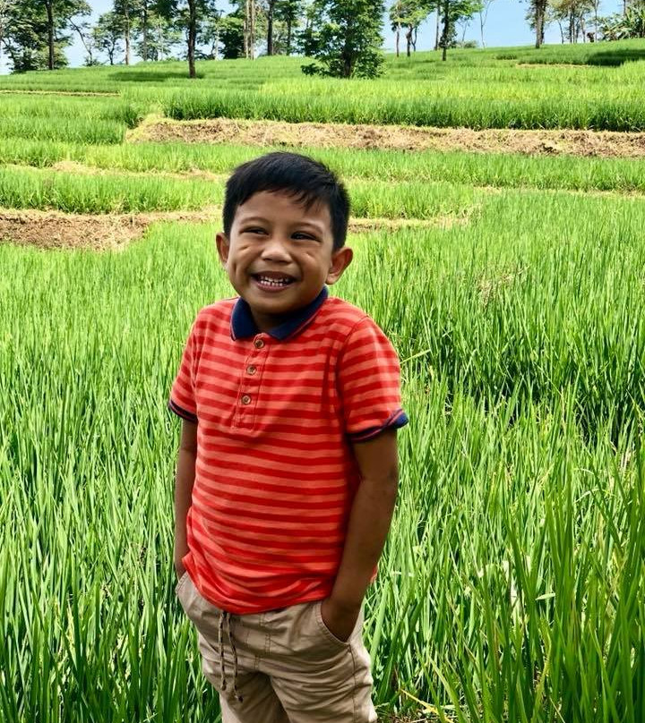 Canlaon City - Century Tree Dalakit-Canloan City必去景点