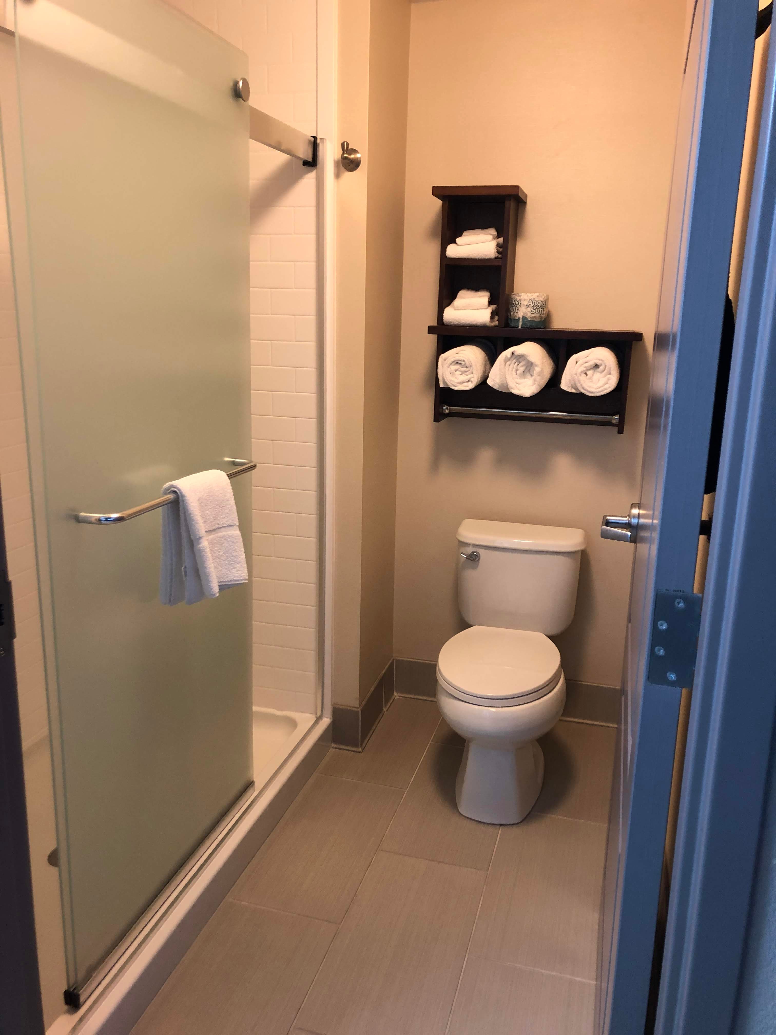 Hampton Inn & Suites Des Moines Downtown-浴室