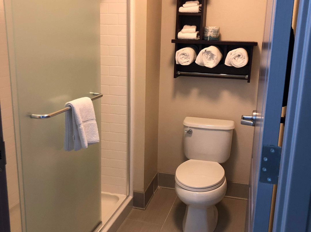 Hampton Inn & Suites Des Moines Downtown主图