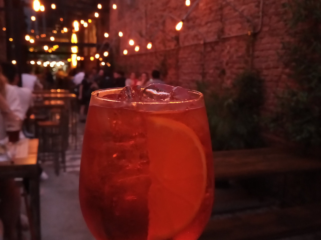 Cerveza Hormiga Negra