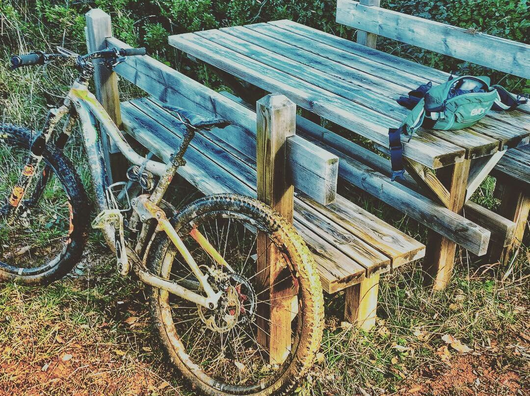 Girly MTB Love景点图片