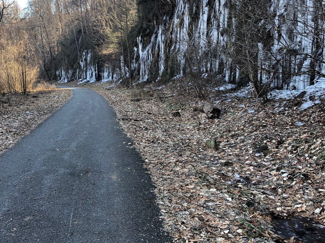 Blackwater Creek Trail景点图片