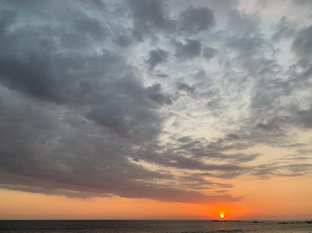 Crocs Resort & Casino主图