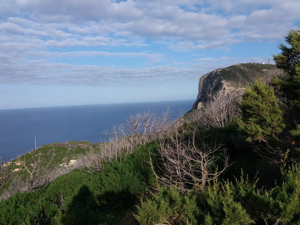 Capo Figari-Golfo Aranci必去景点